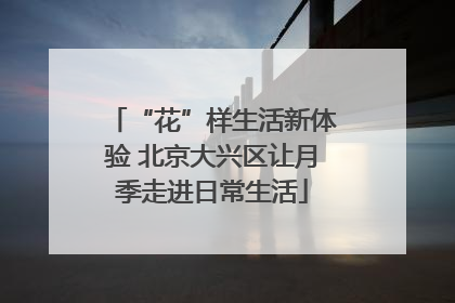 “花”样生活新体验 北京大兴区让月季走进日常生活