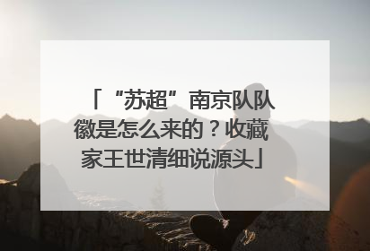 “苏超”南京队队徽是怎么来的？收藏家王世清细说源头