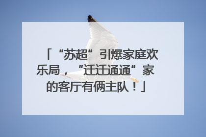 “苏超”引爆家庭欢乐局，“迁迁通通”家的客厅有俩主队！