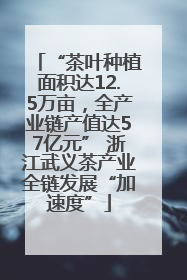 “茶叶种植面积达12.5万亩，全产业链产值达57亿元” 浙江武义茶产业全链发展“加速度”