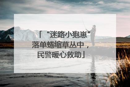 “迷路小狍崽”落单蜷缩草丛中，民警暖心救助