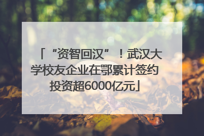 “资智回汉”！武汉大学校友企业在鄂累计签约投资超6000亿元