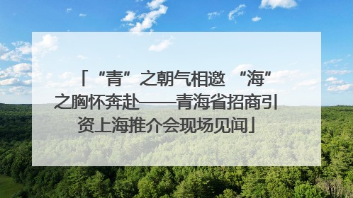 “青”之朝气相邀 “海”之胸怀奔赴——青海省招商引资上海推介会现场见闻