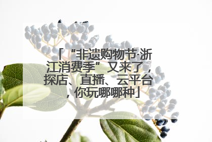 “非遗购物节·浙江消费季”又来了，探店、直播、云平台，你玩哪哪种