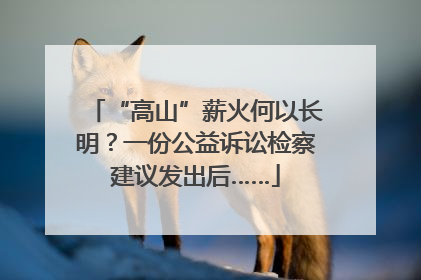 “高山”薪火何以长明？一份公益诉讼检察建议发出后……