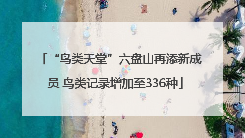 “鸟类天堂”六盘山再添新成员 鸟类记录增加至336种