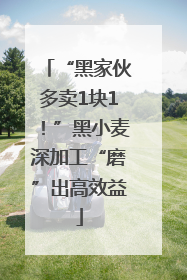 “黑家伙多卖1块1！”黑小麦深加工“磨”出高效益