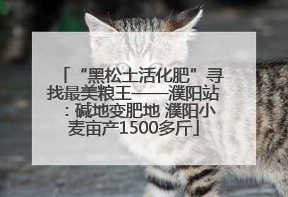 “黑松土活化肥”寻找最美粮王——濮阳站：碱地变肥地 濮阳小麦亩产1500多斤
