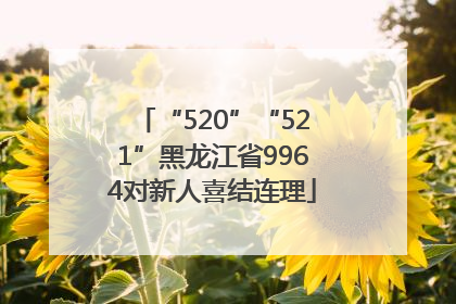 “520”“521”黑龙江省9964对新人喜结连理