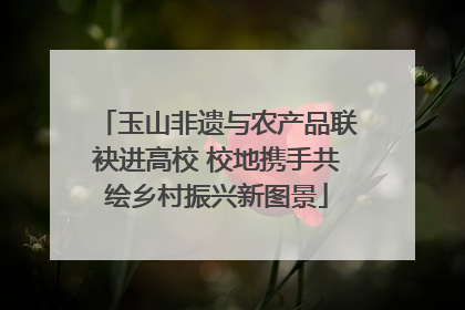 玉山非遗与农产品联袂进高校 校地携手共绘乡村振兴新图景