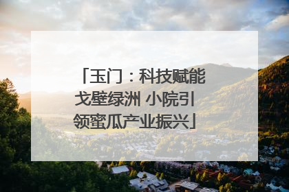 玉门：科技赋能戈壁绿洲 小院引领蜜瓜产业振兴