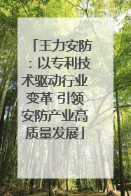 王力安防：以专利技术驱动行业变革 引领安防产业高质量发展