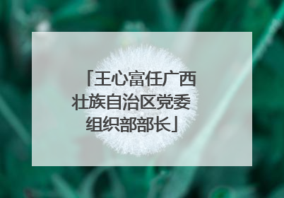 王心富任广西壮族自治区党委组织部部长