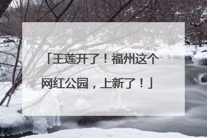 王莲开了！福州这个网红公园，上新了！