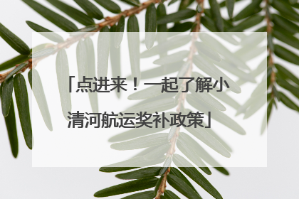 点进来！一起了解小清河航运奖补政策