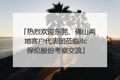 热烈欢迎东莞、佛山两地客户代表团莅临itc保伦股份考察交流