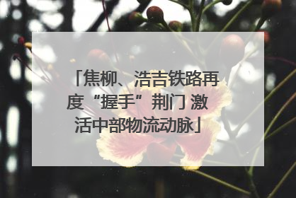 焦柳、浩吉铁路再度“握手”荆门 激活中部物流动脉
