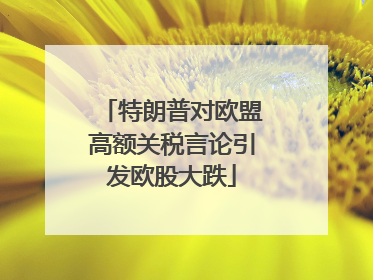 特朗普对欧盟高额关税言论引发欧股大跌