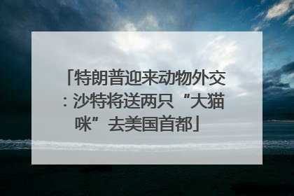 特朗普迎来动物外交：沙特将送两只“大猫咪”去美国首都