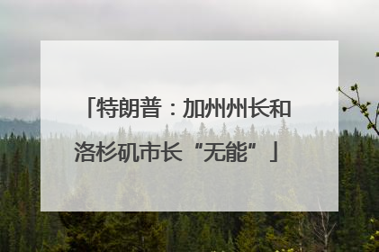 特朗普：加州州长和洛杉矶市长“无能”