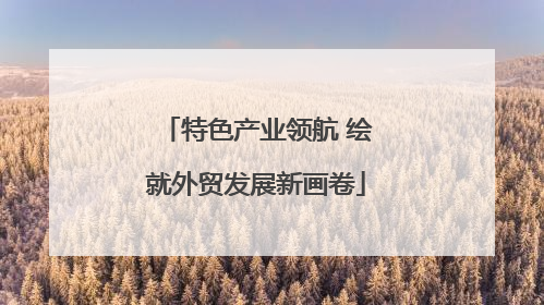 特色产业领航 绘就外贸发展新画卷