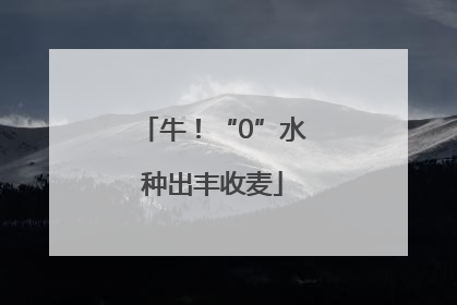 牛！“0”水种出丰收麦