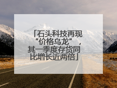 石头科技再现“价格乌龙”，其一季度存货同比增长近两倍