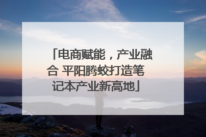 电商赋能，产业融合 平阳腾蛟打造笔记本产业新高地