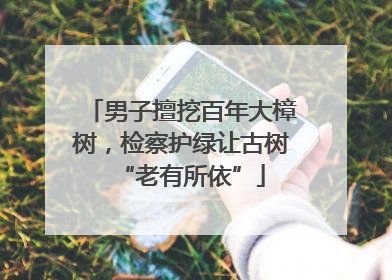 男子擅挖百年大樟树，检察护绿让古树“老有所依”