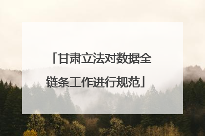 甘肃立法对数据全链条工作进行规范