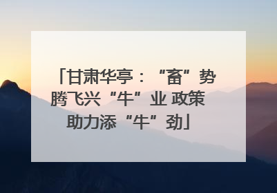 甘肃华亭：“畜”势腾飞兴“牛”业 政策助力添“牛”劲
