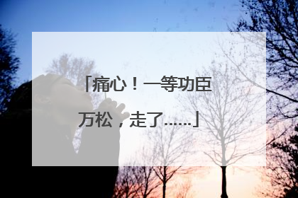 痛心！一等功臣万松，走了……