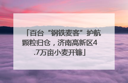 百台“钢铁麦客”护航颗粒归仓，济南高新区4.7万亩小麦开镰