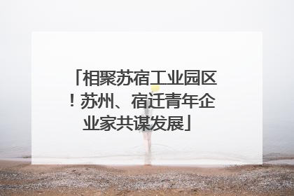 相聚苏宿工业园区！苏州、宿迁青年企业家共谋发展