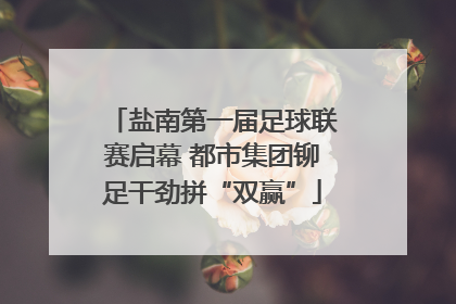 盐南第一届足球联赛启幕 都市集团铆足干劲拼“双赢”