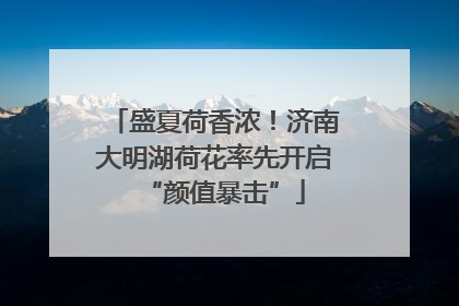 盛夏荷香浓！济南大明湖荷花率先开启“颜值暴击”