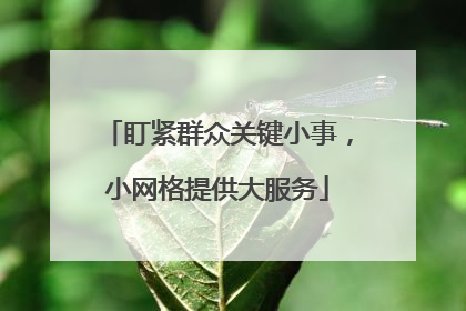 盯紧群众关键小事，小网格提供大服务