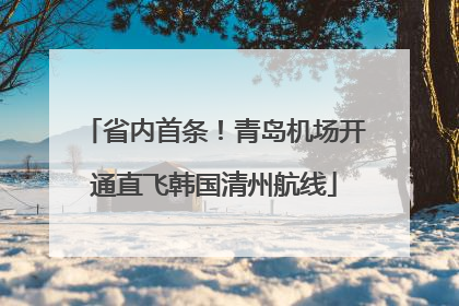 省内首条！青岛机场开通直飞韩国清州航线
