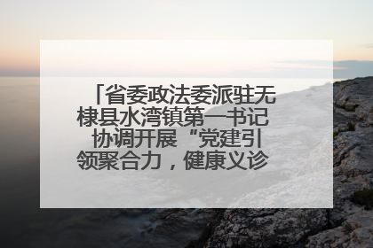 省委政法委派驻无棣县水湾镇第一书记 协调开展“党建引领聚合力，健康义诊惠乡亲”义诊活动