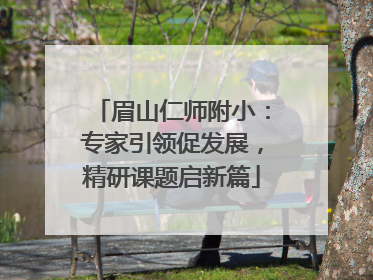 眉山仁师附小：专家引领促发展，精研课题启新篇