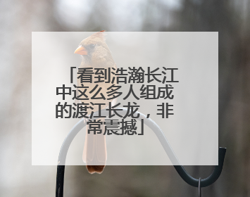 看到浩瀚长江中这么多人组成的渡江长龙，非常震撼