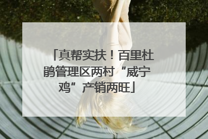 真帮实扶！百里杜鹃管理区两村“威宁鸡”产销两旺