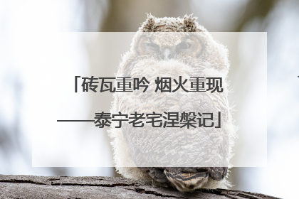 砖瓦重吟 烟火重现——泰宁老宅涅槃记