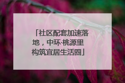 社区配套加速落地，中环·桃源里构筑宜居生活圈