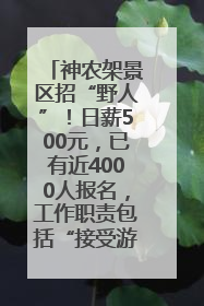 神农架景区招“野人”！日薪500元，已有近4000人报名，工作职责包括“接受游客投喂”