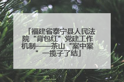 福建省泰宁县人民法院“背包红”党建工作机制——茶山“案中案”一揽子了结