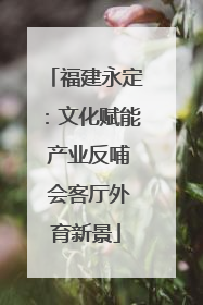 福建永定：文化赋能 产业反哺 会客厅外育新景
