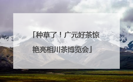 种草了！广元好茶惊艳亮相川茶博览会