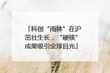 科创“雨林”在沪茁壮生长，“硬核”成果吸引全球目光