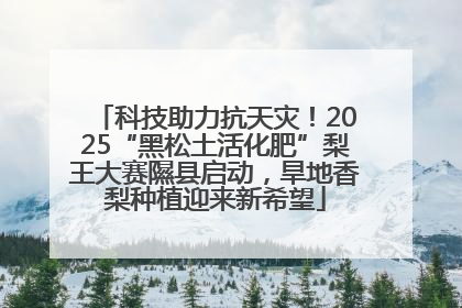 科技助力抗天灾！2025“黑松土活化肥”梨王大赛隰县启动，旱地香梨种植迎来新希望
